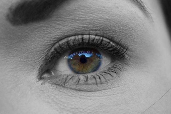 CC0 eye focus High-Resolution reflection Stock free photo CC0