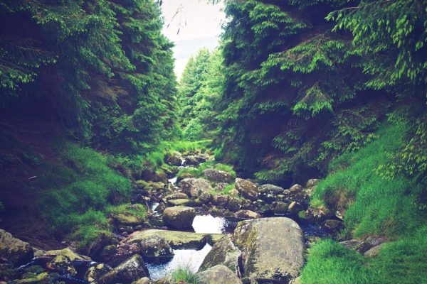 CC0 green High-Resolution moody River rocks Stock stream trees water free photo CC0