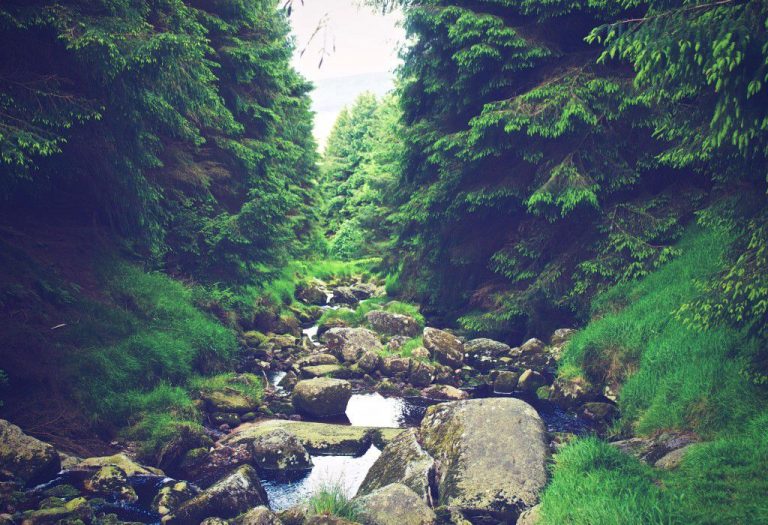 CC0 green High-Resolution moody River rocks Stock stream trees water free photo CC0