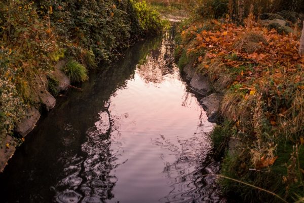 autumn CC0 High-Resolution leaves reflection River Stock free photo CC0