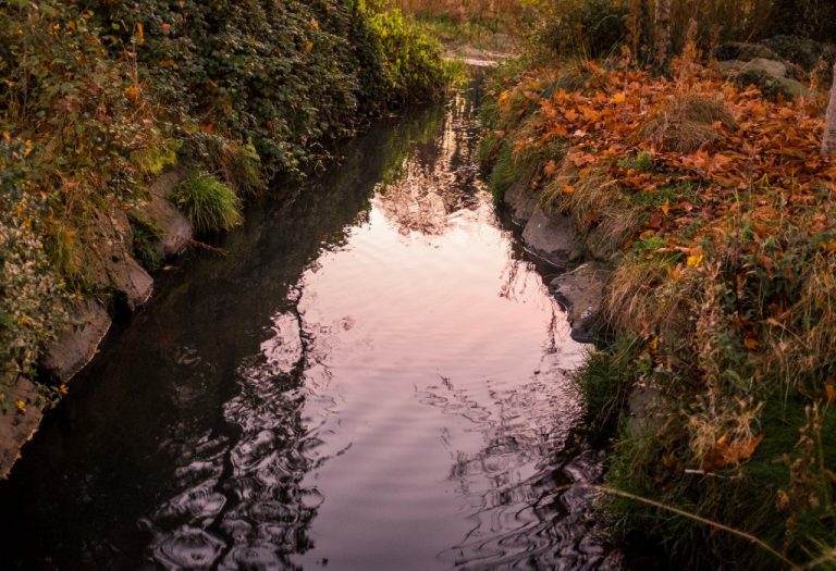 autumn CC0 High-Resolution leaves reflection River Stock free photo CC0