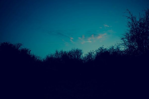 CC0 clear dark High-Resolution night sky Stock trees free photo CC0