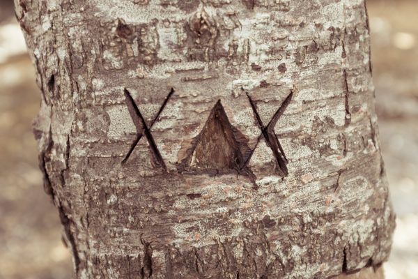 The key To A Meaningful Eulogy Speech picography-scratched-text-tree-1-600x400