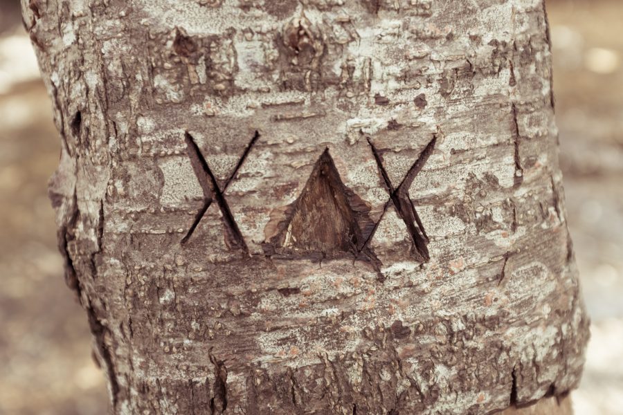 Download Scratched Text Tree | Free Stock Photo and Image | Picography