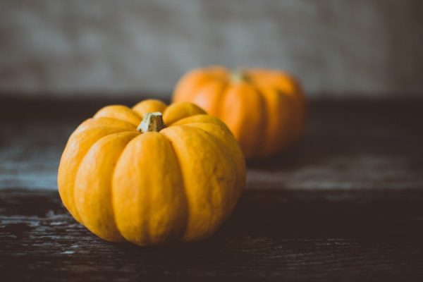 CC0 food Halloween High-Resolution Pumpkins Stock Vegetable yellow free photo CC0