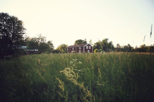 autumn brown Crops farm Farmhouse field green Grow summer free photo CC0