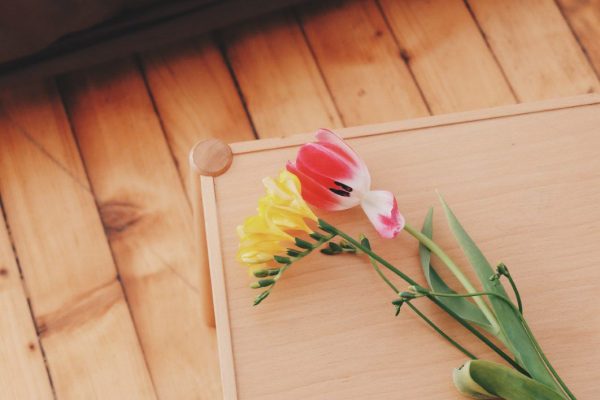 Bloom Blossom flowers Natural red Tulip yellow free photo CC0