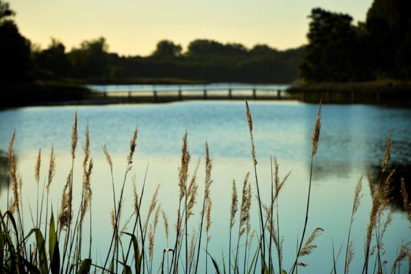 Bridge lake Landscapes View Wallpaper free photo CC0