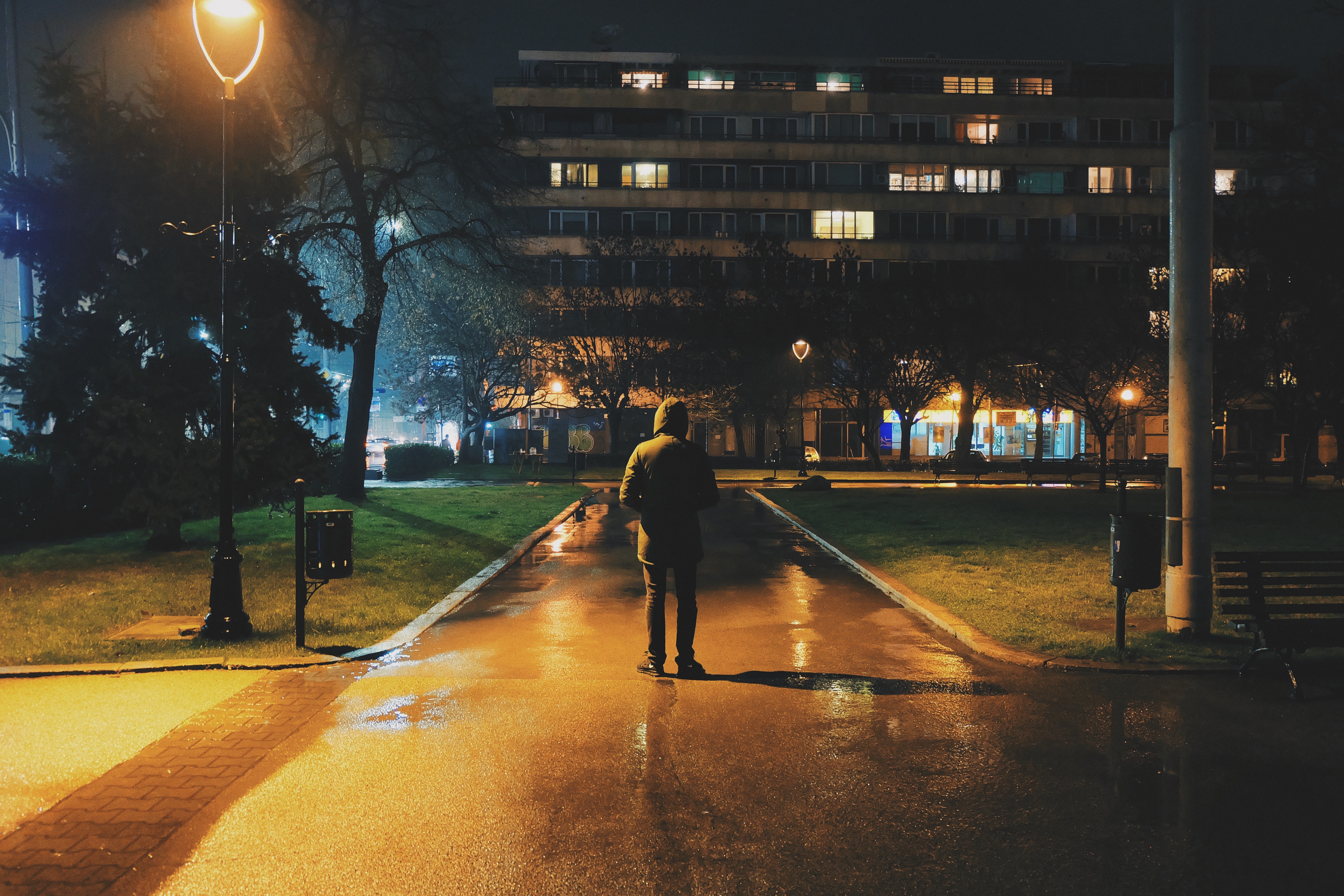 picography-person-outdoor-night-park.jpg