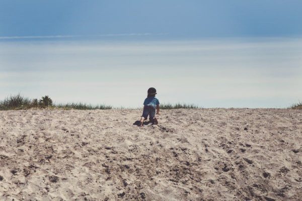 Beach Boy child Climb Crawl family Sand Small Toddler free photo CC0