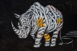 street-art-rhino-wall-graffiti-paint-art-design-animals-small.jpg