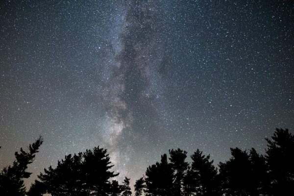 astrophotography constellations cosmos dark Galaxy Milky Way nature nebula night Silhouette sky Stars trees free photo CC0