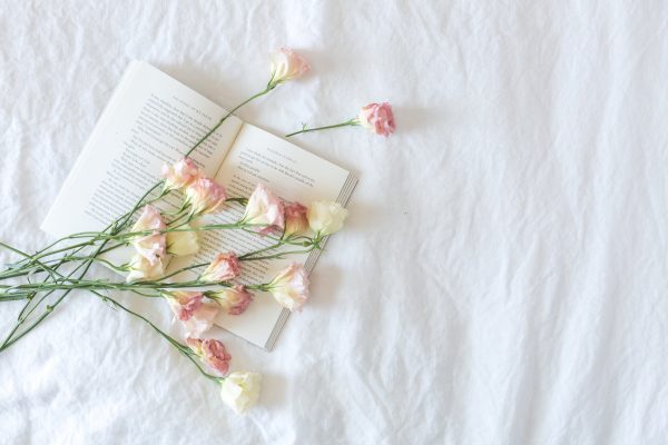 Bed Bedroom Bloom Blossom Book Bouquet Clean Flat lay flowers Indoors Reading Simple Sunlight white free photo CC0