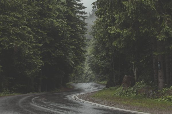 Climate clouds Environment Explore fog forest Mist outdoors Rain road trees Wet Winding Woods free photo CC0