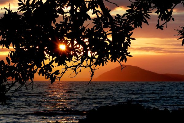 clouds Coast mountains Ocean outdoors sea Silhouette sky Sunlight sunset trees Vacation water Waves free photo CC0