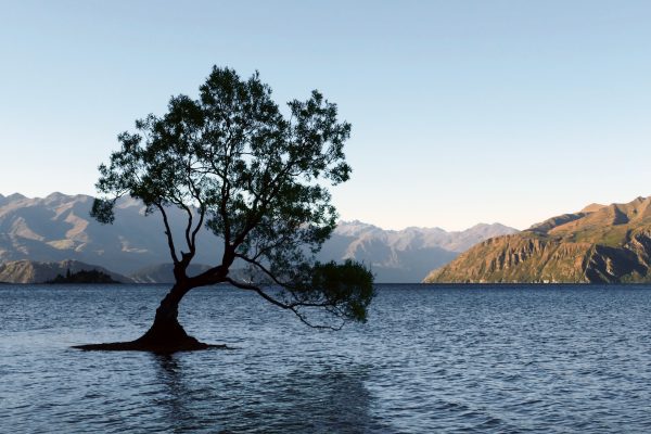 Beautiful lake mountains sky Sunlight tree water free photo CC0