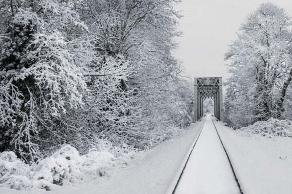Climate Cold Environment freezing Fresh frost outdoors snow tracks Train Transport travel trees Winter free photo CC0