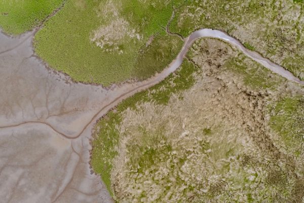 above Aerial Background bay Beach Drone erosion Natural nature outdoors Pattern Sand water free photo CC0