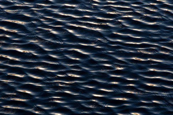 dark lake Liquid nature outdoors Pattern ripples surface water Waves Wet Wind free photo CC0