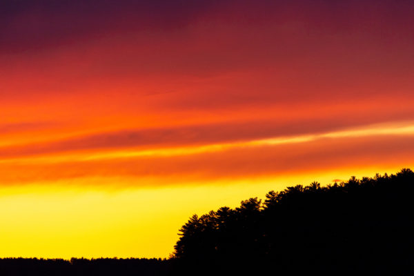 clouds Colorful Dusk Environment forest glow horizon nature outdoors Scenic Silhouette sky Sunlight sunset trees vibrant Warm free photo CC0