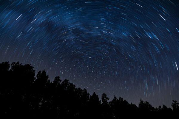 Galaxy Milky Way Motion movement night Silhouette sky Space spinning Star starry trails trees free photo CC0