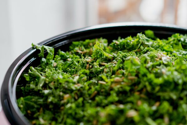 Bowl Close-Up Cuisine diet Dining eating Fresh greens Healthy kale Leaf Lettuce nutrition Plate Salad snack Vegetable free photo CC0