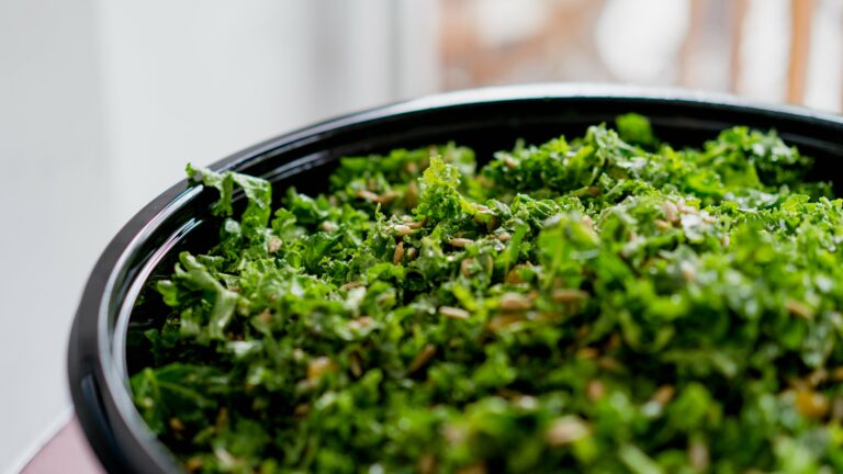 Bowl Close-Up Cuisine diet Dining eating Fresh greens Healthy kale Leaf Lettuce nutrition Plate Salad snack Vegetable free photo CC0