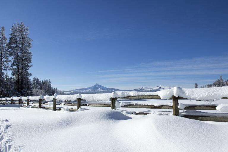 blue Cold covered Day Fence field Frozen horizon Mountain nature Outdoor Season sky snow snowy trees Winter free photo CC0