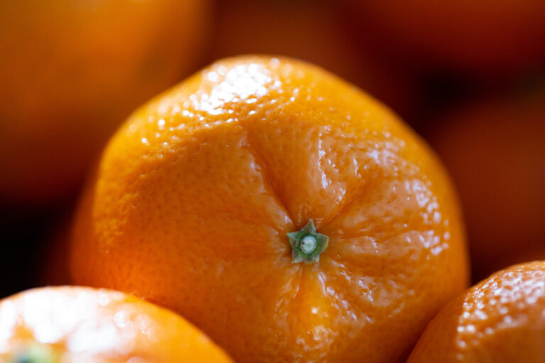 Close-Up edible Fresh Fruit Harvest Healthy juice macro nutrition orange summer Sunlight free photo CC0