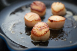 picography-seared-scallops-in-pan