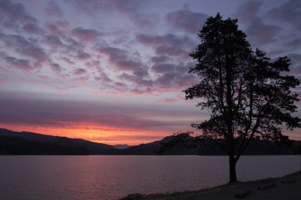 clouds Dusk golden lake mountains nature peaceful reflection shore sun tree Warm water free photo CC0