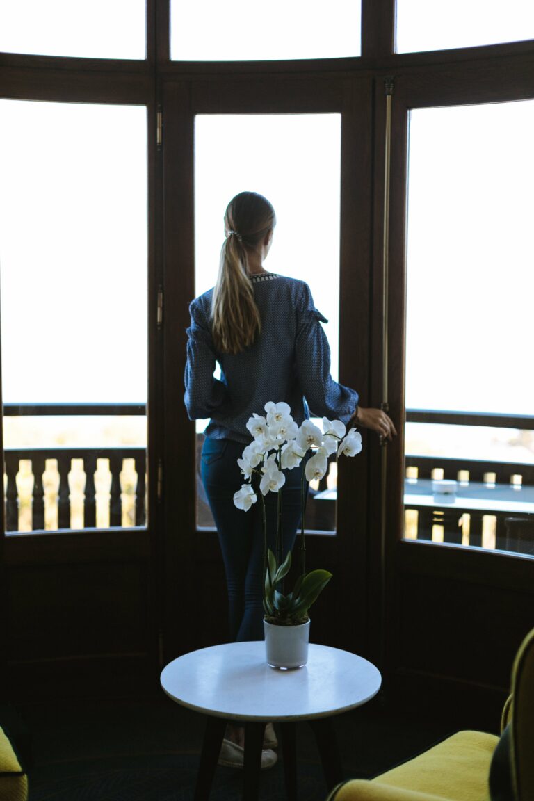 Chair female flower flowerpot horizon Hotel Looking orchid Plant ponytail scene Scenic sight thoughtful trip View Window woman free photo CC0
