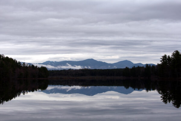 calm Climate clouds Cloudy copy space Environment Explore fog lake Mist moody Mountain nature outdoors reflection Silhouette travel trees wanderlust water weather free photo CC0