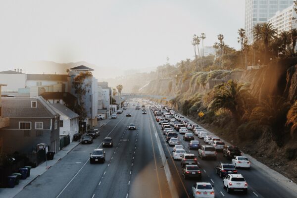 asphalt Buildings busy cars Coast Coastal drive flare freeway Lane Lens Palm road route Sunlight trees free photo CC0