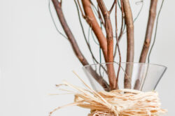 picography-decorative-vase-with-branches