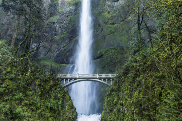 Bridge Cliff flowing forest green lush Mountain narrow Natural nature Outdoor path stream water waterfall free photo CC0