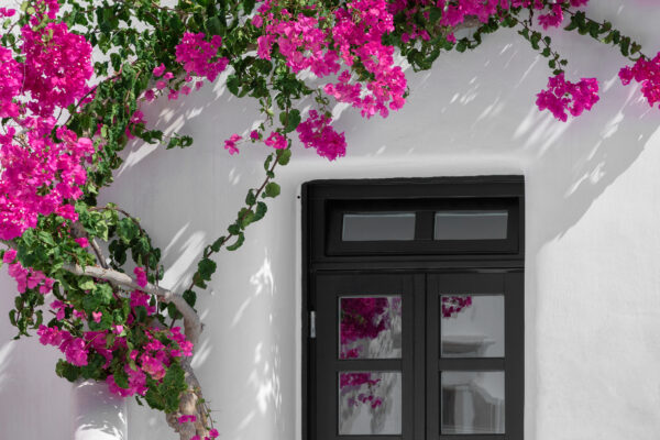 architecture beauty building Cafe design elegant exterior floral flowers Leisure minimal Outdoor pink Pretty Relax Resort Simple summer table travel Vacation Warm Window free photo CC0