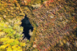 picography-aerial-fall-colors