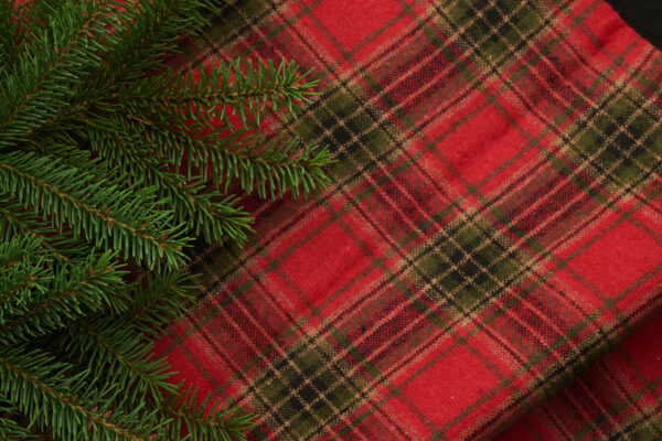 Background branches copy space festive Flat lay Holiday merry pine plaid tree xmas free photo CC0