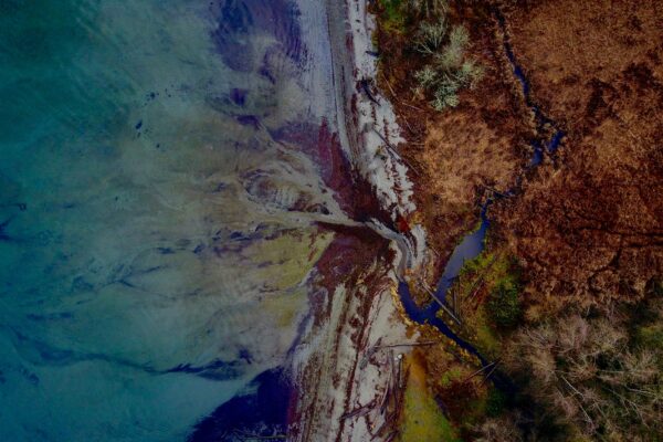 above Abstract Coast Colorful debris Natural nature Ocean outdoors Pattern Sand shore trees water Waves wetland free photo CC0
