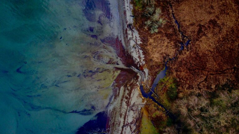 above Abstract Coast Colorful debris Natural nature Ocean outdoors Pattern Sand shore trees water Waves wetland free photo CC0