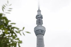 picography-skytree-in-japan-on-a-cloudy-day