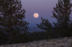 picography-full-moon-landscape