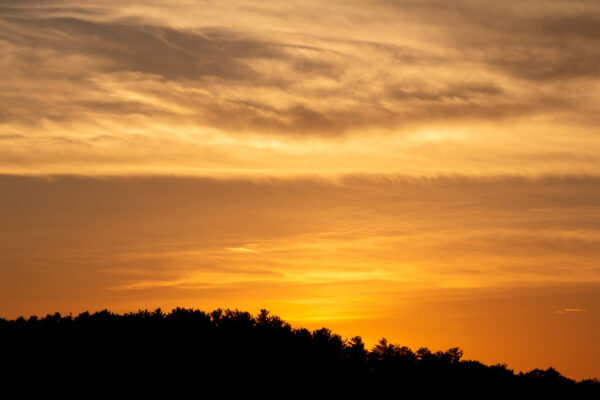 Climate clouds Dusk Environment Evening forest glowing golden nature orange outdoors radiant Scenic Silhouette sky summer sun sunset trees Warm free photo CC0