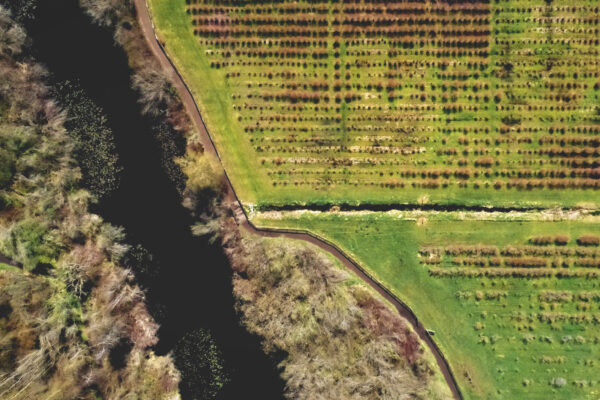 above Drone farming farmland flight grass Natural nature outdoors Pattern River water free photo CC0