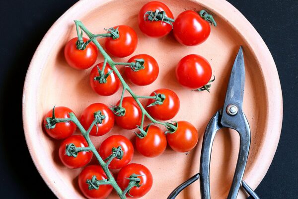 chef cherry tomatoes cooking Dinner dish Flat lay Fresh Fruit Garden gourmet Healthy Ingredients Kitchen Organic Plant raw red ripe Salad table Vegetable free photo CC0