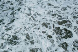 picography-close-up-of-the-water-coming-into-shore