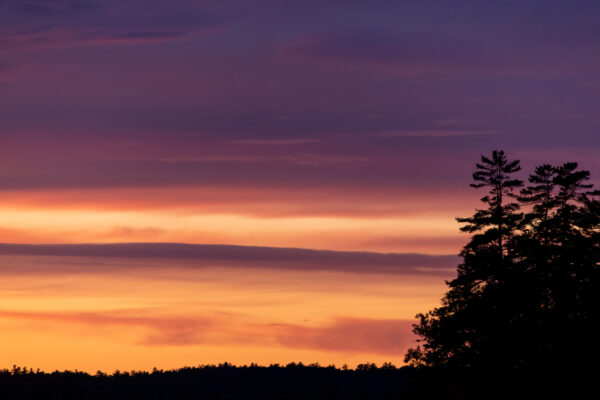 Background beauty calm clouds Dusk Environment forest glow golden landscape nature outdoors peaceful Scenic Silhouette sky Sunlight sunset trees Wallpaper Warm free photo CC0