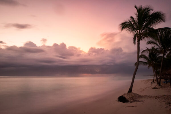 Background clouds Coast Dusk Ocean Palm pink Sand sea shore sky sun travel tree Vacation virtual Wallpaper water free photo CC0