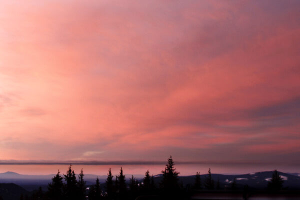 Dawn Dusk Environment forest horizon nature outdoors pastel pink Scenic sky Sunlight sunrise Warm free photo CC0